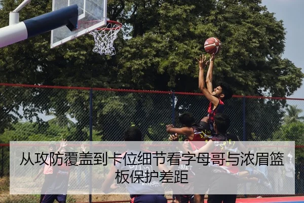从攻防覆盖到卡位细节看字母哥与浓眉篮板保护差距